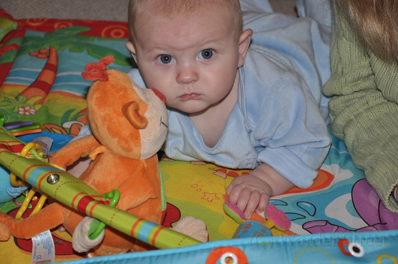 William's Twenty-First Week 06.jpg